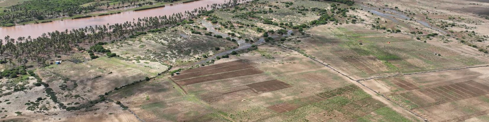 View of cropland on the Juba River in Gobweyn