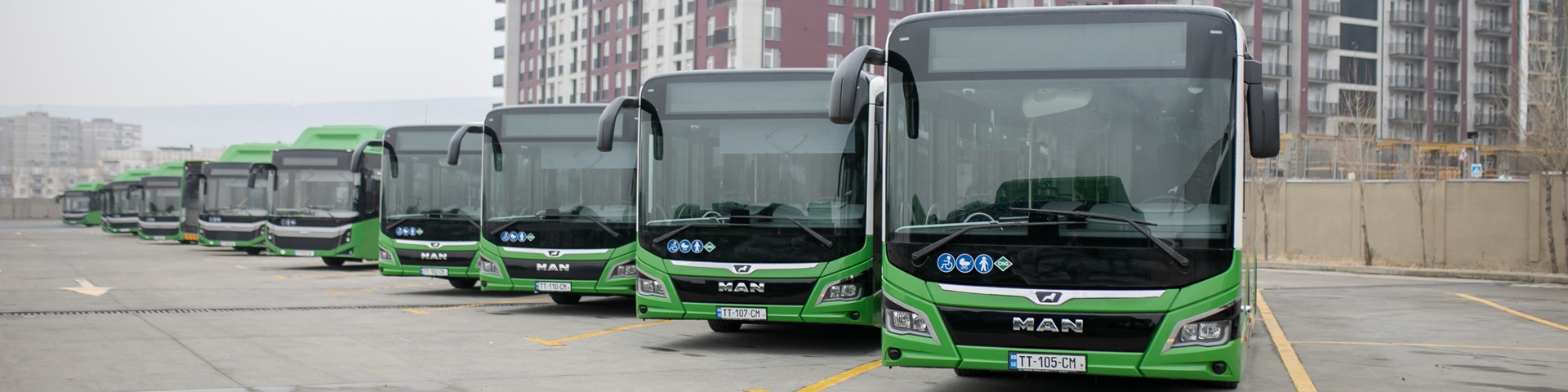 Brand new 18-metre-long green buses with Georgian number plates are parked in a row in a car park.