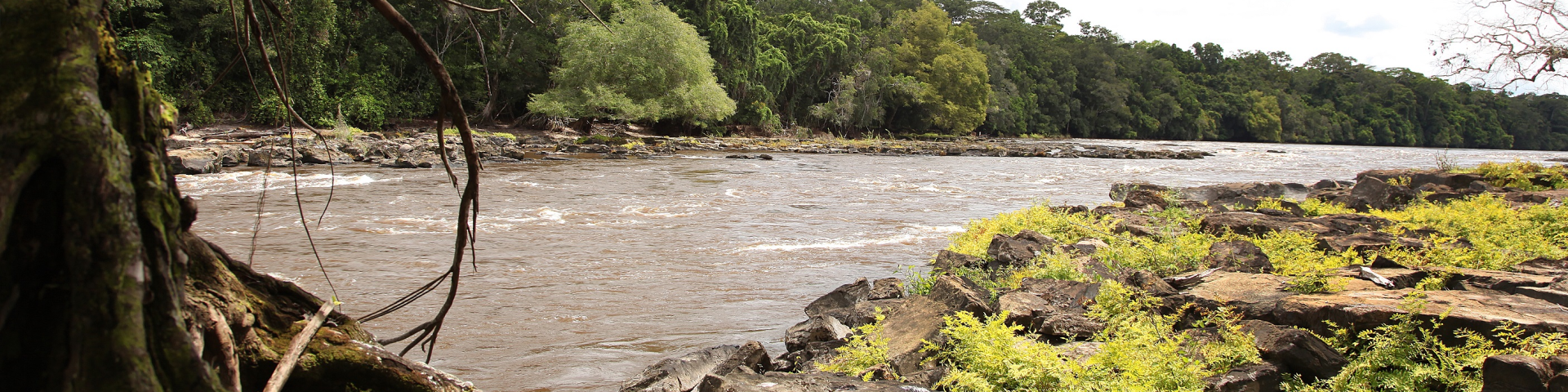 On the banks of a river that flows through Lomami National Park (Maniema province). Copyright: GIZ / Frank Ribas