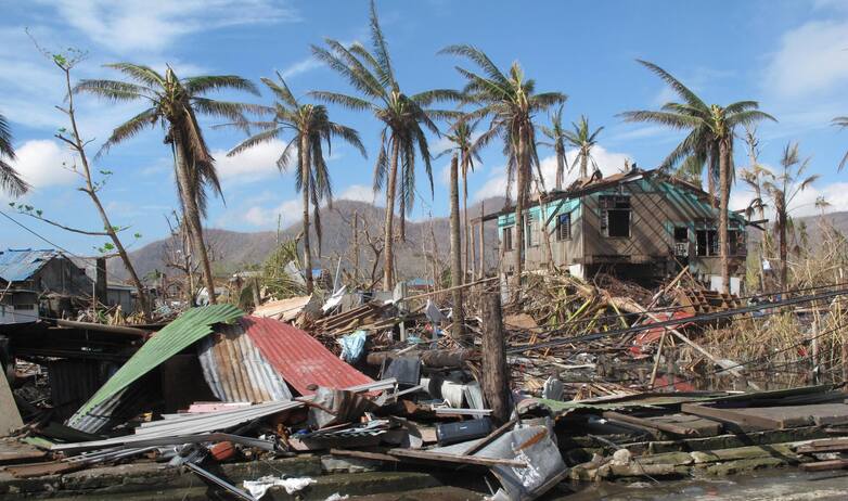 A_few_palm_trees_remain_standing_amid_the_destruction