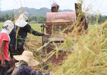 Rice farmers thresh the rice mechanically. Photo: GIZ