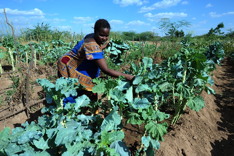 Improving living conditions for people in Kakuma