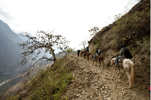 Perú. Los andenes incaicos pueden ser destruidos por deslizamientos de tierras relacionados con el cambio climático. © GIZ