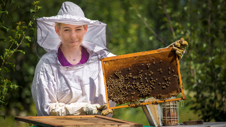 A young person in a beekeeper’s suit holds honeycombs.