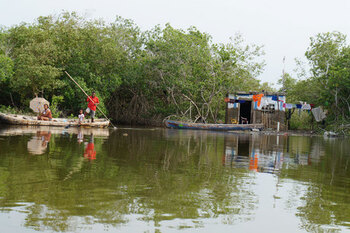 Colombia y Ecuador. Se restauran los manglares junto con la población. © GIZ