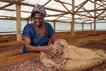 Cameroon. Employees on a cocoa plantation. © GIZ