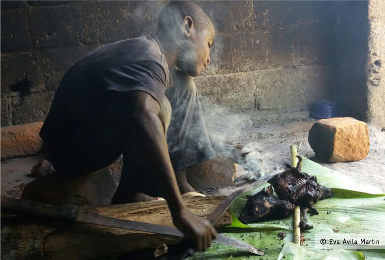 A person prepares a wild animal.