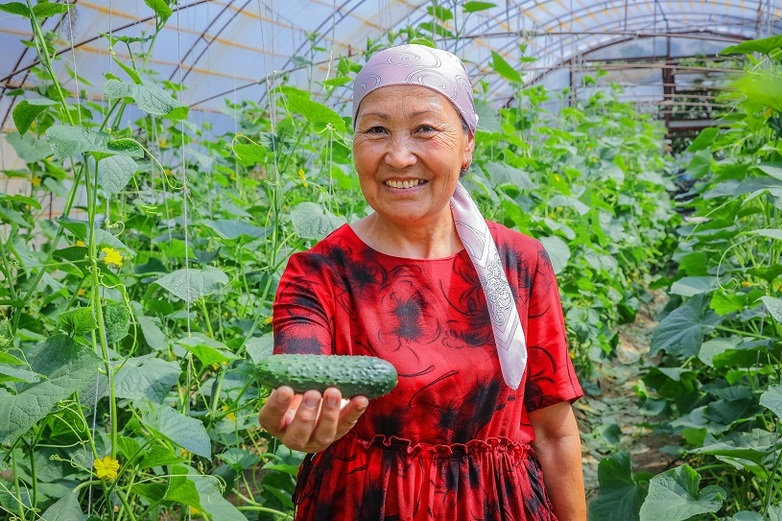 Farmer in a remote village of Kyrgystan desmonstrates harvest