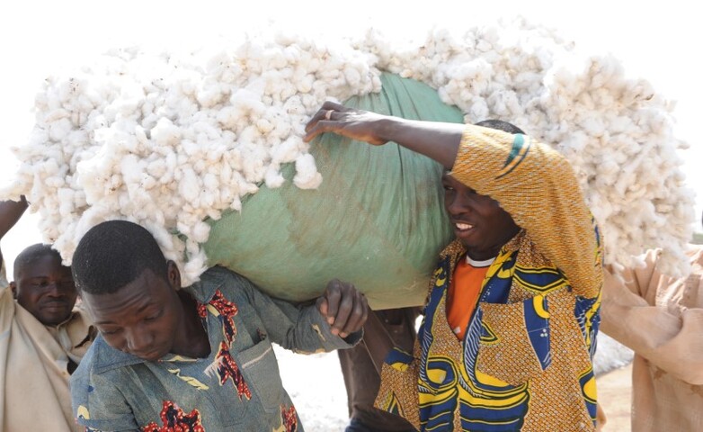 A group of men carry a large bag of cotton.