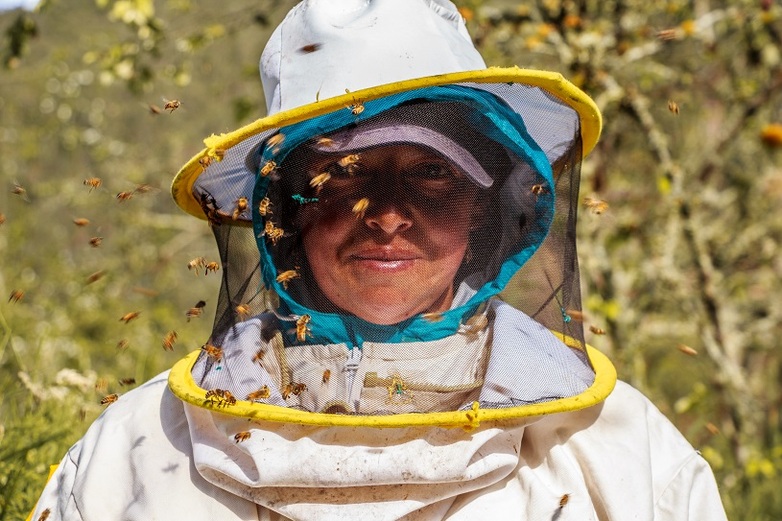 Una apicultora de la Asociación de Apicultores del Cubilán rodeada de abejas. Fotografía: Andrés Verdezoto