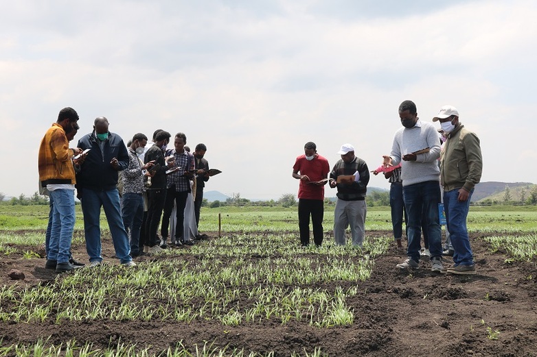 Electronic field data collection training for breeding experts from different agricultural research centers. Copyright: GIZ/Leulsenaye Damena/2021