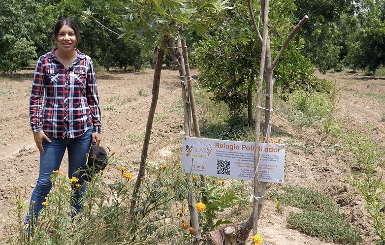 Agricultora en un campo con una hilera de flores para los polinizadores © GIZ México/Daniel de la Torre