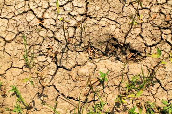 India. Crop losses due to drought © GIZ