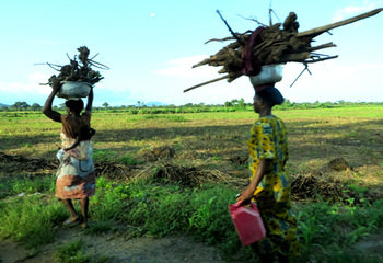 Togo. La collecte de bois de feu : les femmes togolaises utilisent le bois pour alimenter leurs fourneaux. Le taux de déforestation pour la production de bois d’énergie au Togo est le plus élevé de toute l’Afrique de l’Ouest. © GIZ