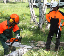 Mongolia. Forestry practical training in Tunkhel bag, Mandal Soum, Selenge aimag 2013