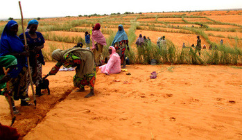 Niger. Preventive measures to reduce risks (erosion control) in the village of Kokomanimé. © GIZ