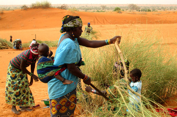 Niger. Preventive measures to reduce risks (erosion control) in the village of Kokomanimé. © GIZ