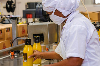 Production of Baron Foods spicy sauces, St. Lucia. © GIZ