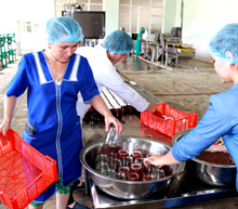 Tajikistan. Production of strawberry jam in a small food processing plant in Rumi district. © GIZ