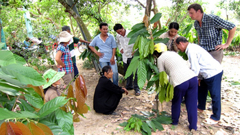 Viet Nam. Development advisor Hans Wiberg-Wagner trains farmers in Dong Nai to prune cacao trees. © GIZ