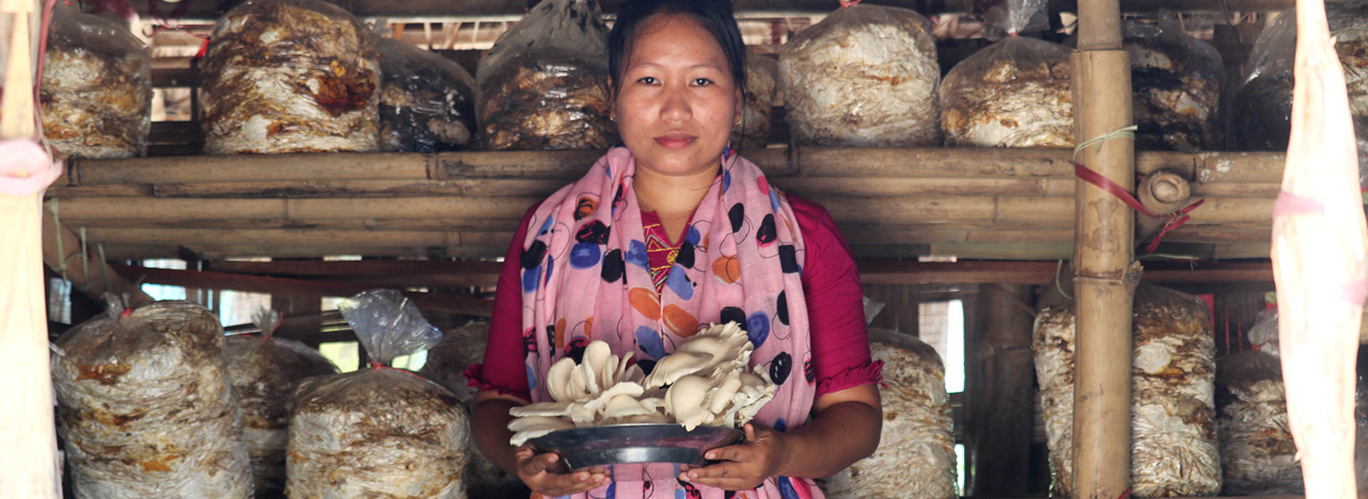 A woman holding a bowl of mushrooms.