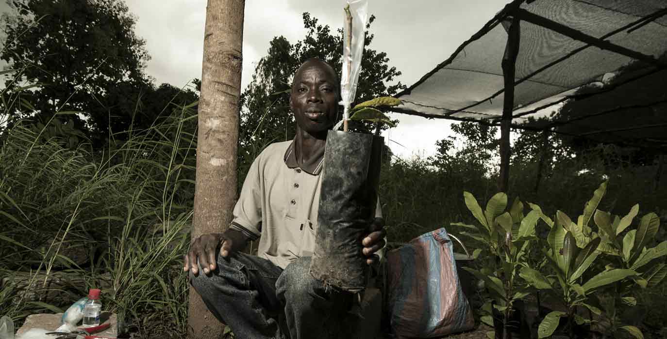 Farmer with cashew seedling