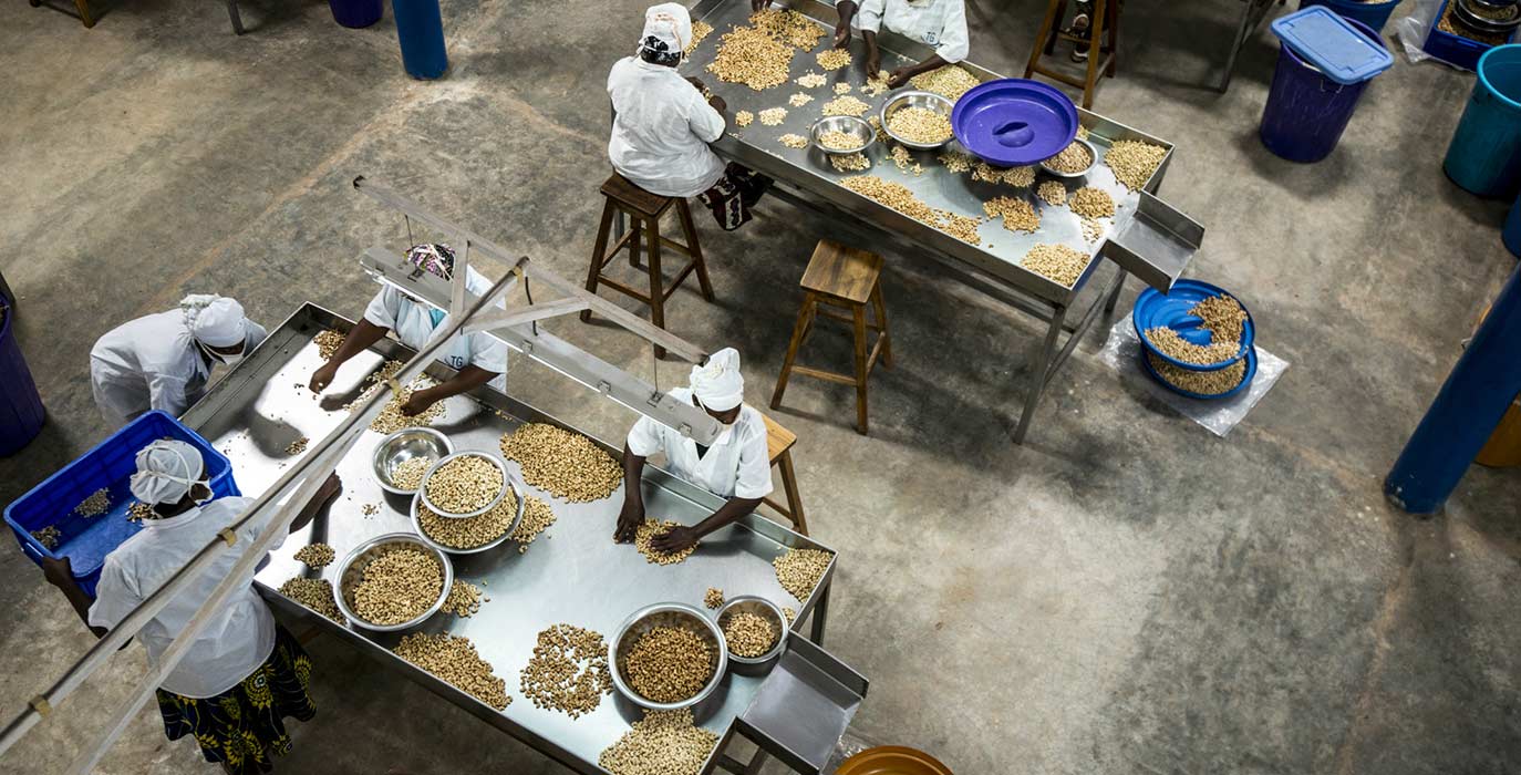 Woman works on cashew with cloth