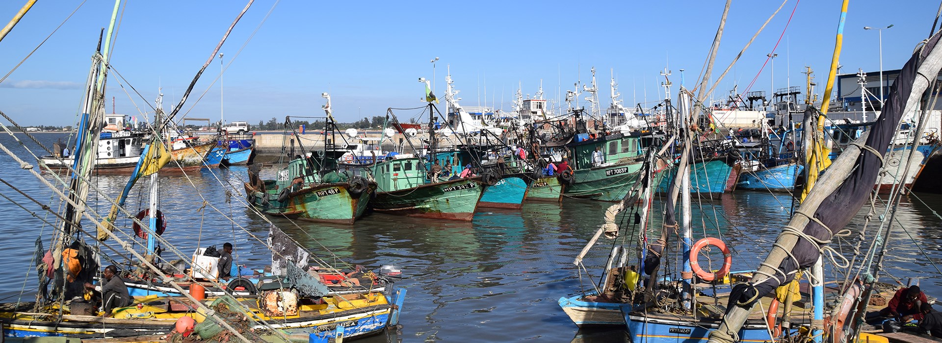 A collection of boats in a harbor.