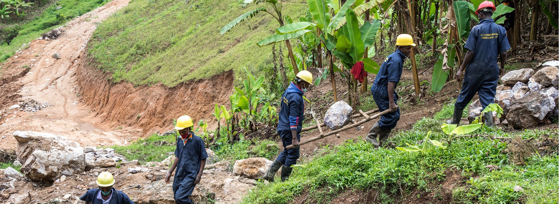 A group of men wearing hard hats and carrying a ladder.