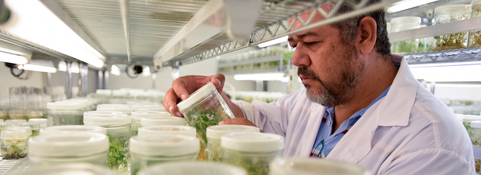 A person in a lab coat looking at a jar of plants.