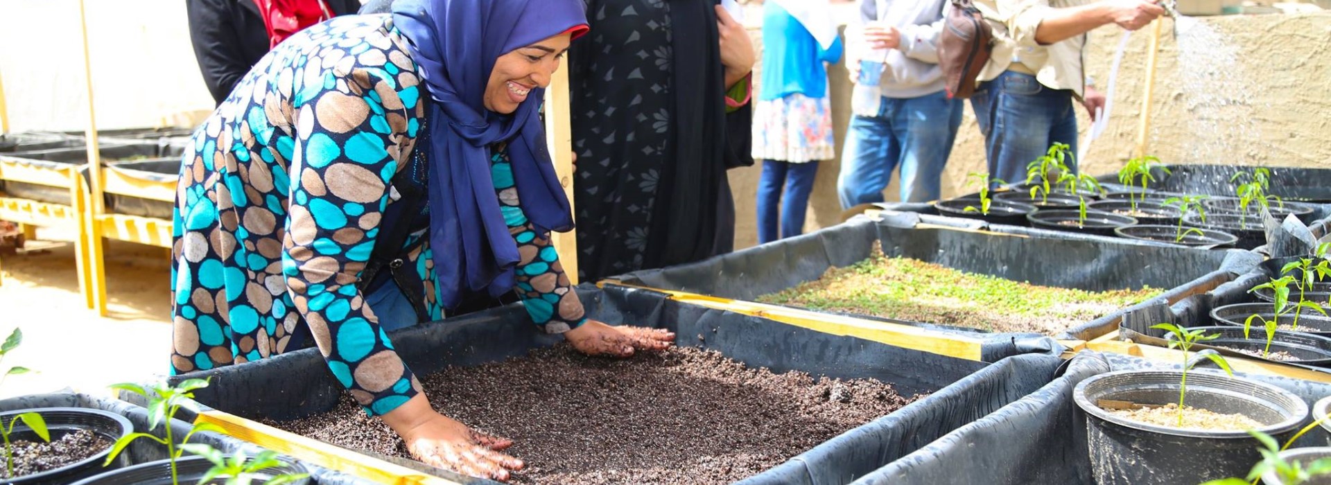 A person in a blue head scarf touching a tray of dirt.