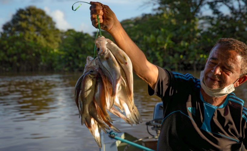 A person holding a bunch of fish.