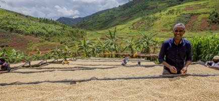 A coffee farmer and workers drying beans